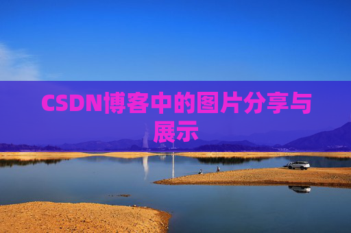 CSDN博客中的图片分享与展示
